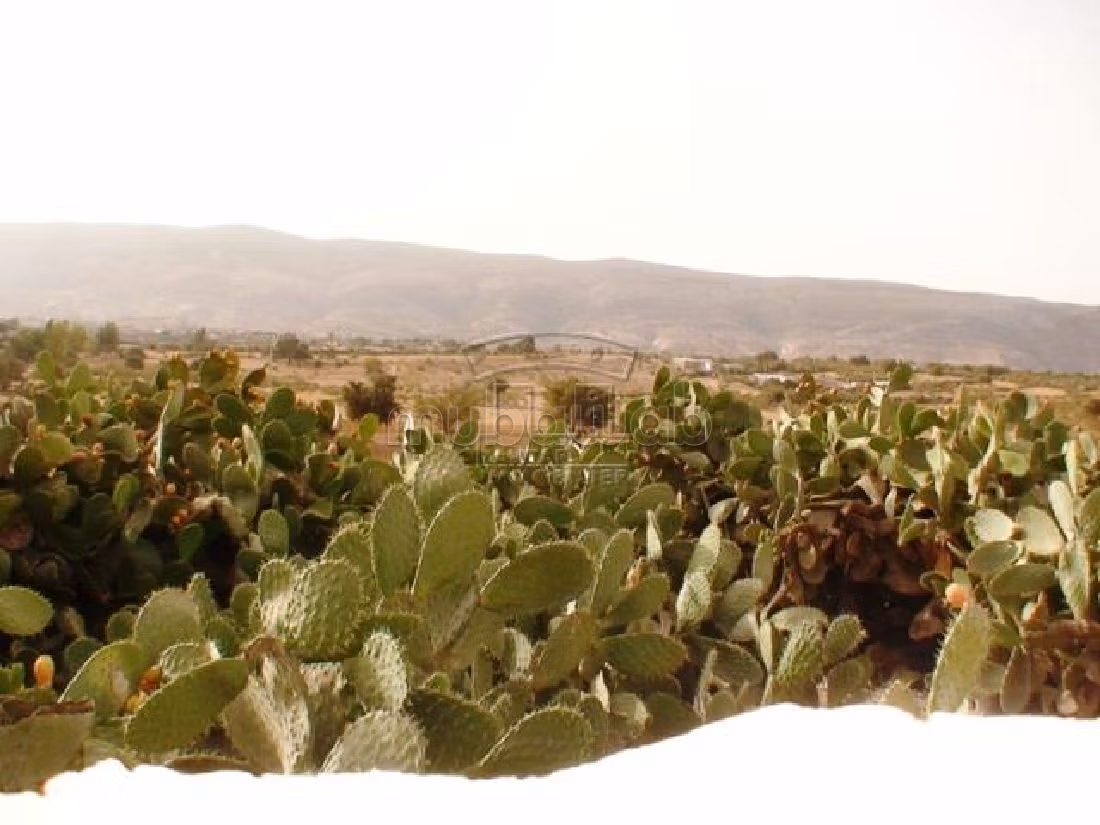 Proprietà in vendita a Route de Safi. 8 ampi locali. Garage privato