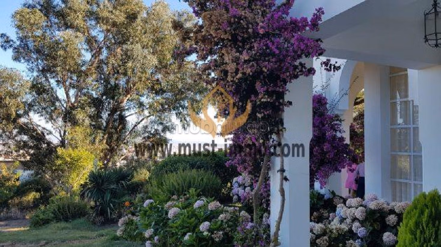 فيلا مساحتها 380م²، حديقة