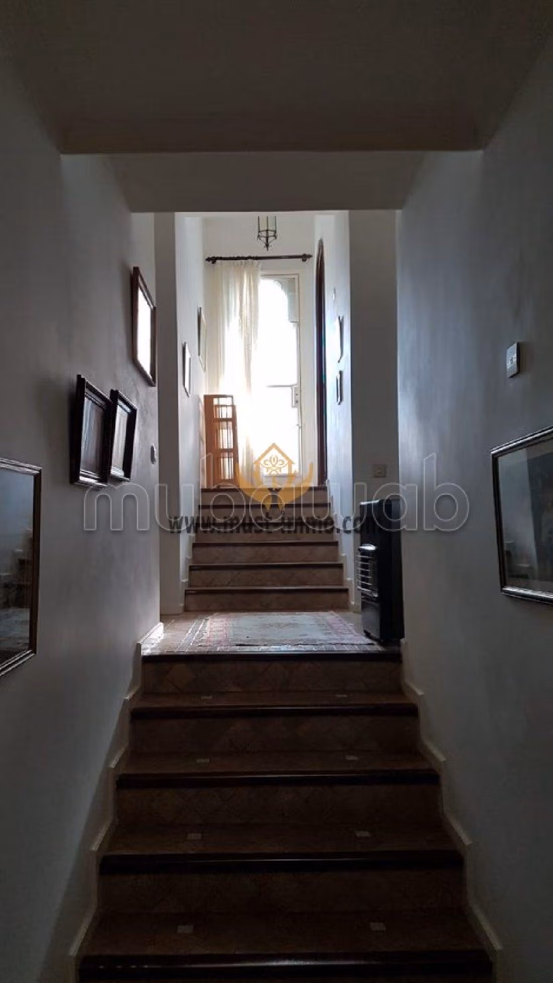 فيلا مساحتها 380م²، حديقة