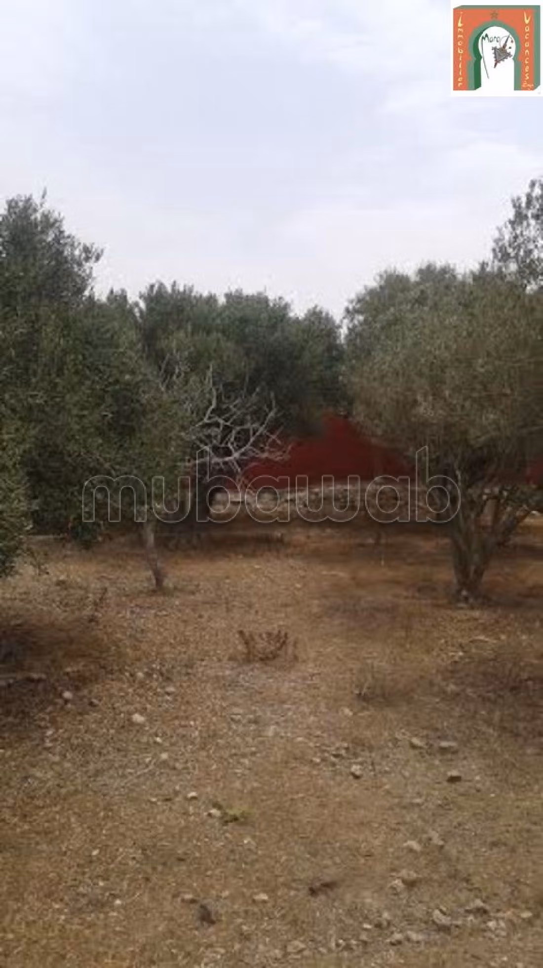 Proprietà in vendita a Safiya. 3 locali spaziosi. Giardino e terrazzo. 