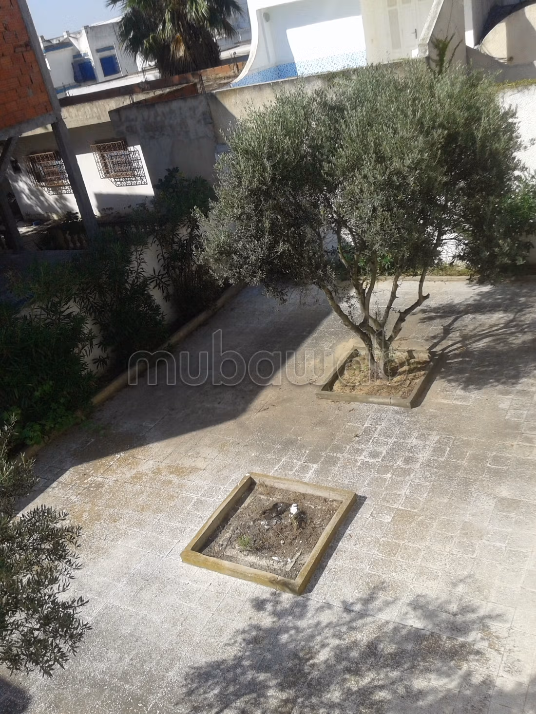 Villa vue mer à Raoued Plage,