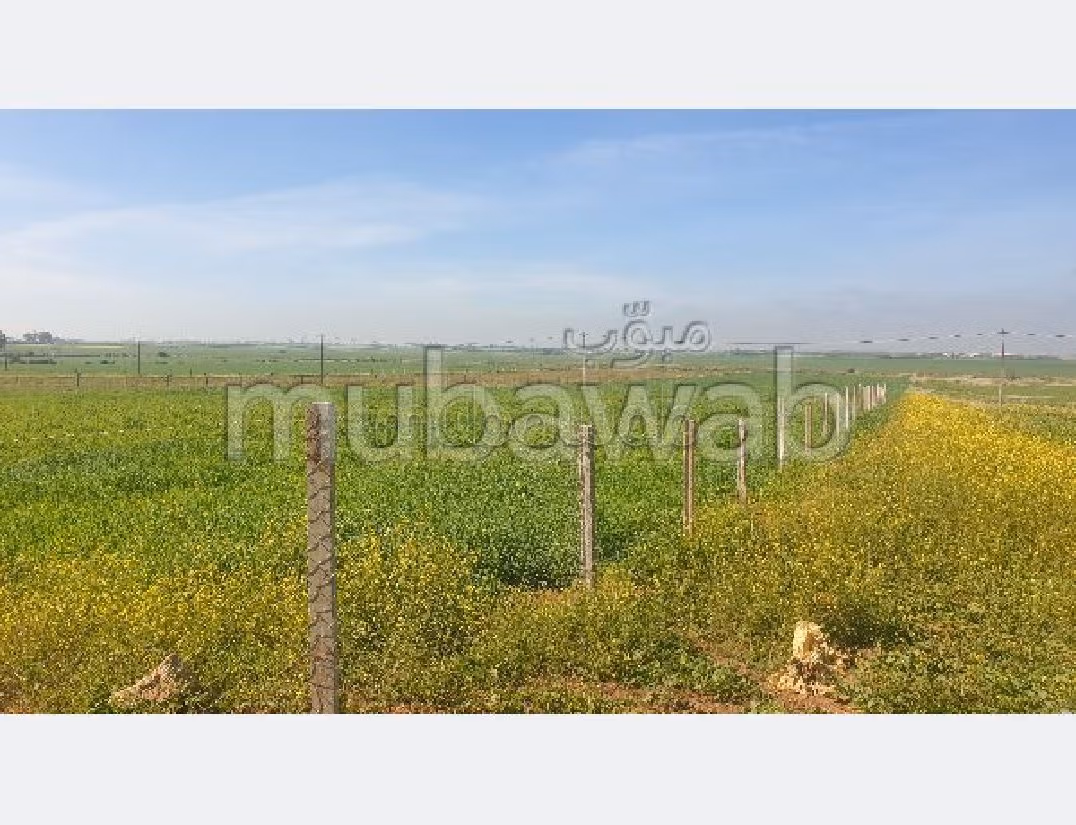 Terreno in vendita. Superficie totale 16680 m². 