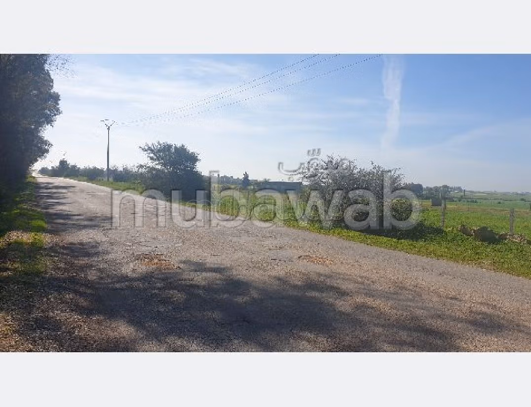 Terreno in vendita. Superficie totale 16680 m². 