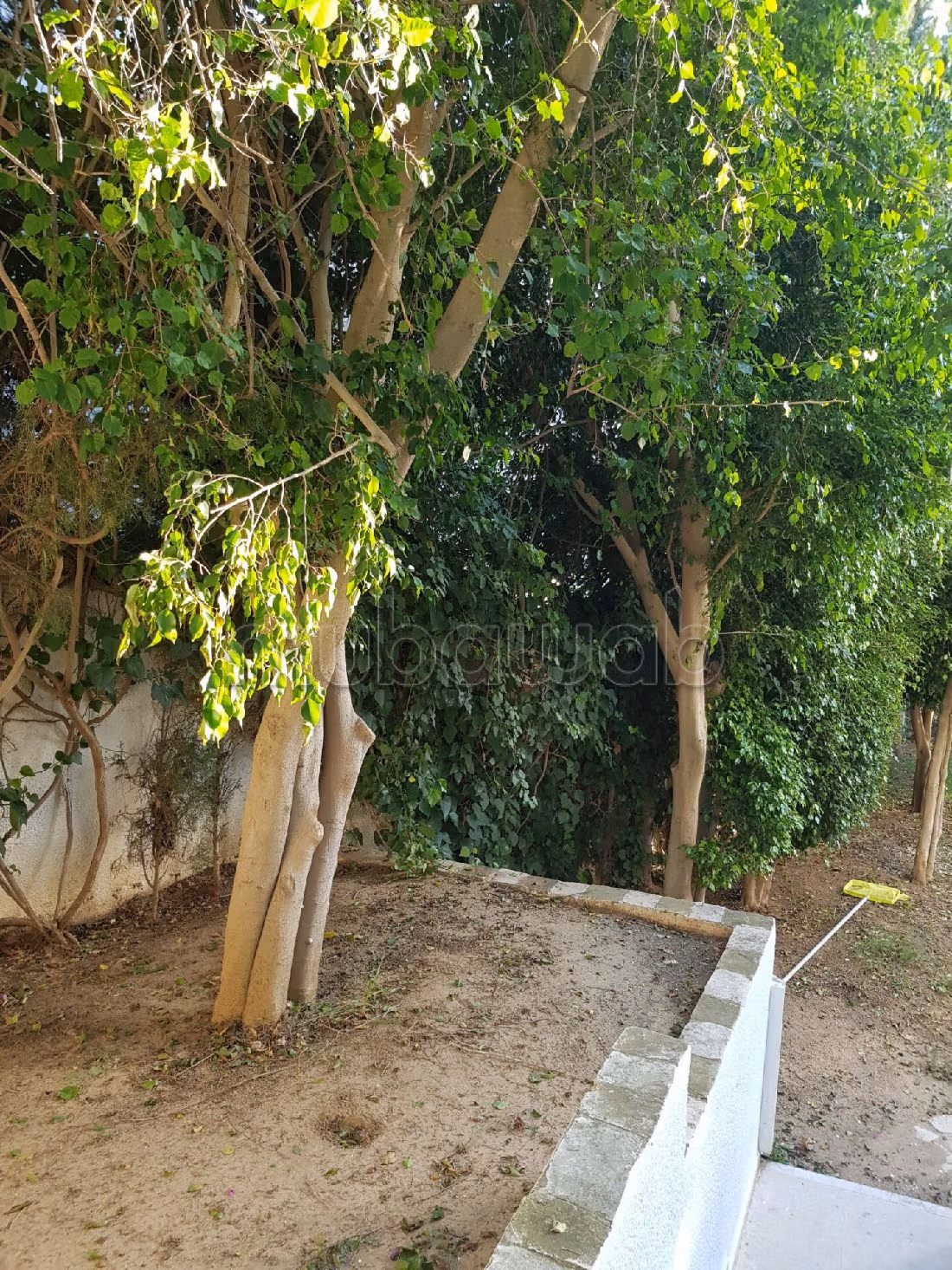 Eccezionale residenza di lusso in vendita a Gammarth Supérieur. 4 belle camere da letto. Giardino e posto auto