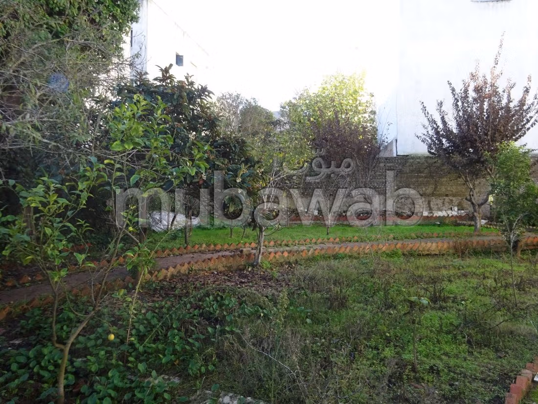 Villa Unique à Marshan