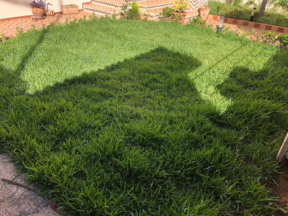 Villa's en luxe woningen te huur in Riyad. 5 Ruimtes. Open haard en airconditioning.