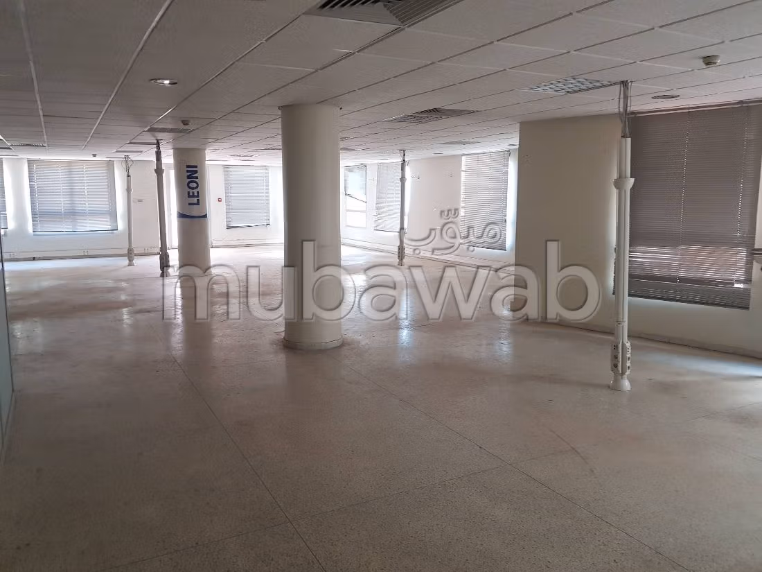 Offices for rent in Sidi Maarouf. Area of 246 m². Cellar, Large terrace