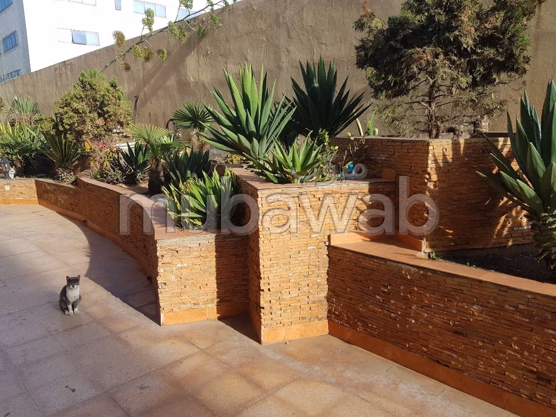Offices for rent in Sidi Maarouf. Area of 246 m². Cellar, Large terrace
