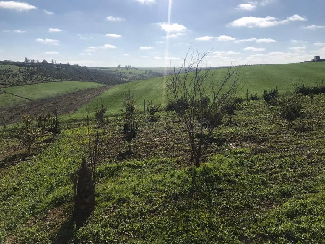 Villa's en luxe woningen kopen in Riyad. 5 Slaapkamers. Tuin. 