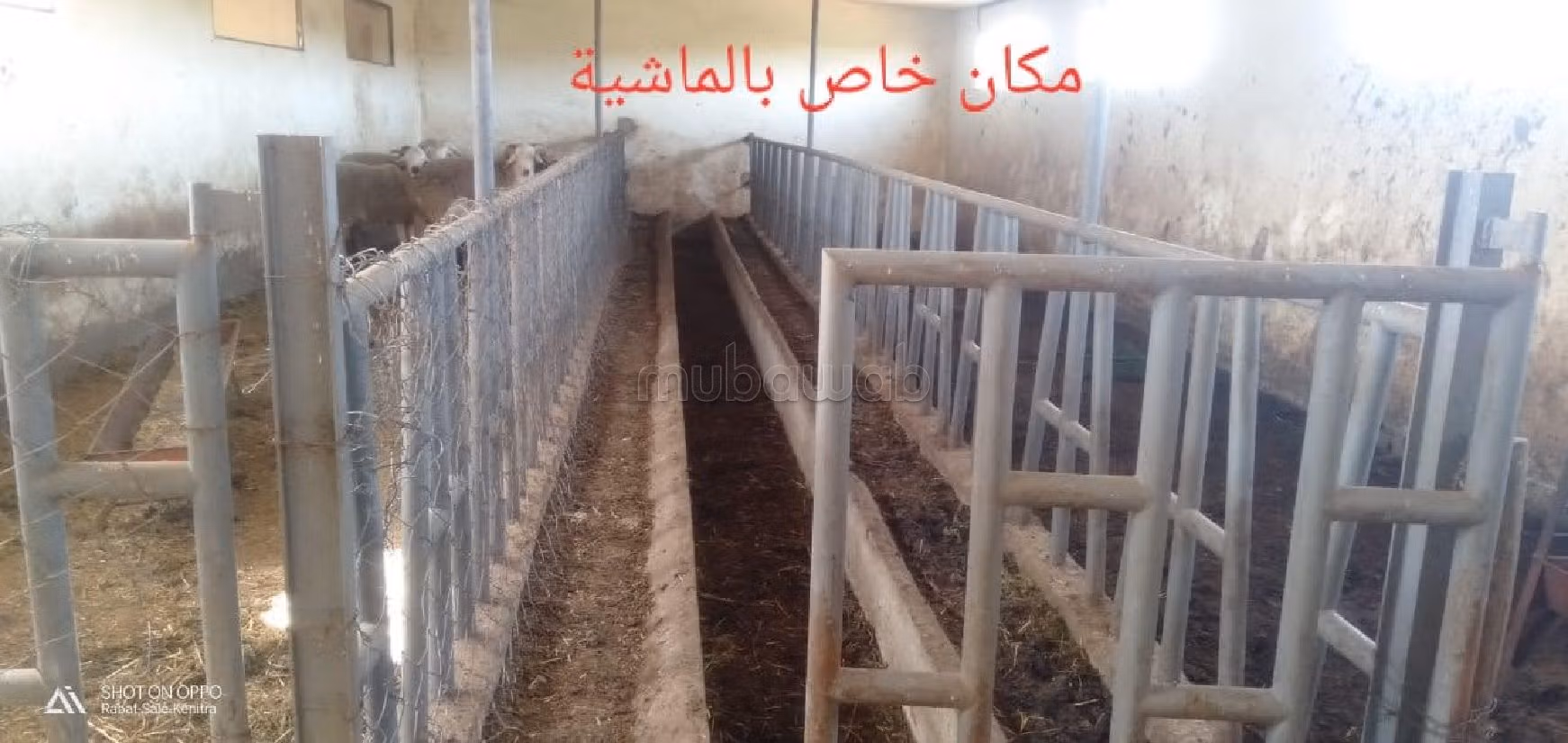 Villa's en luxe woningen kopen in Riyad. 5 Slaapkamers. Tuin. 