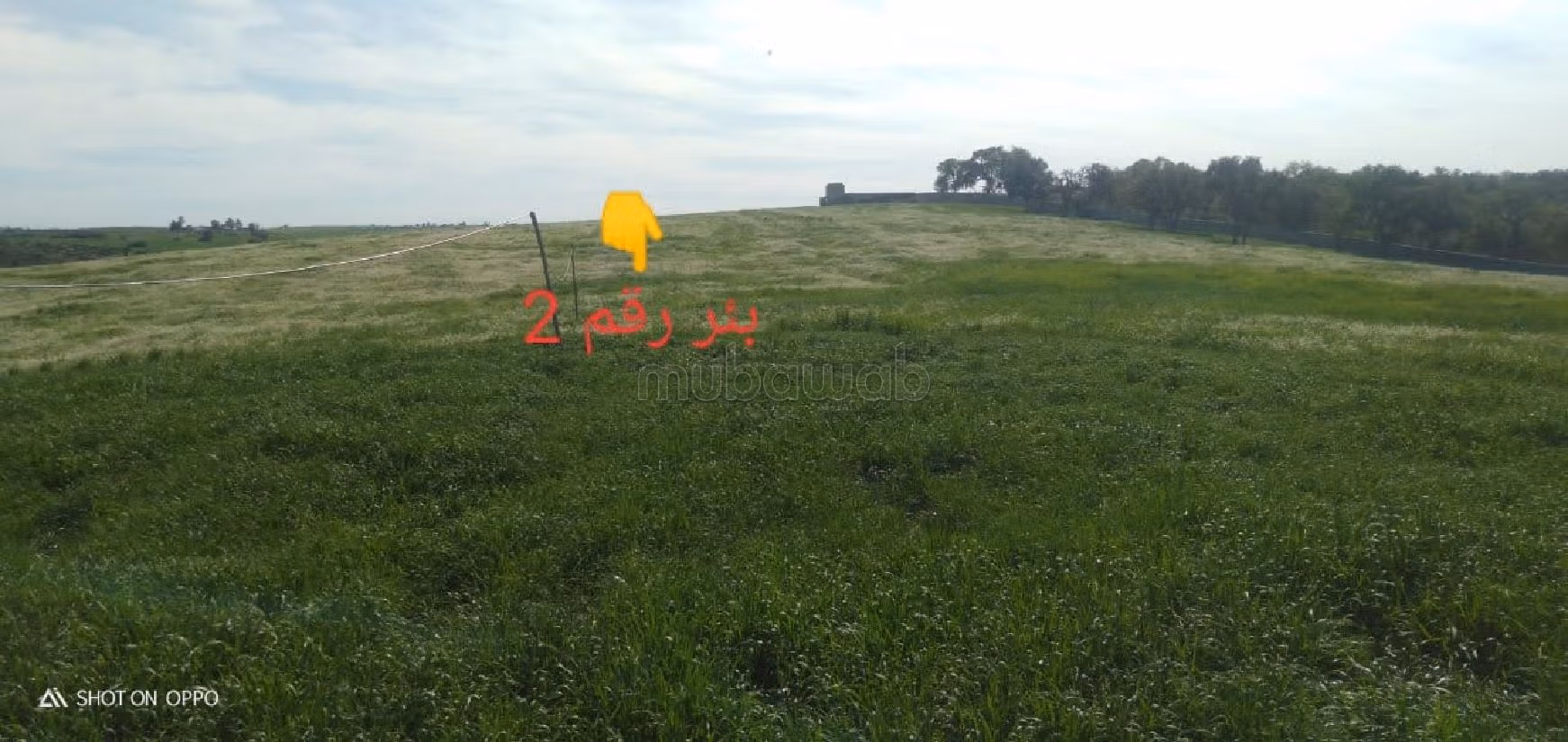 Villa's en luxe woningen kopen in Riyad. 5 Slaapkamers. Tuin. 