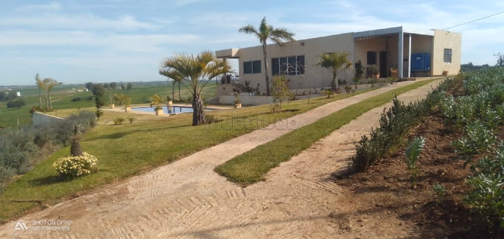 Villa's en luxe woningen kopen in Riyad. 5 Slaapkamers. Tuin. 