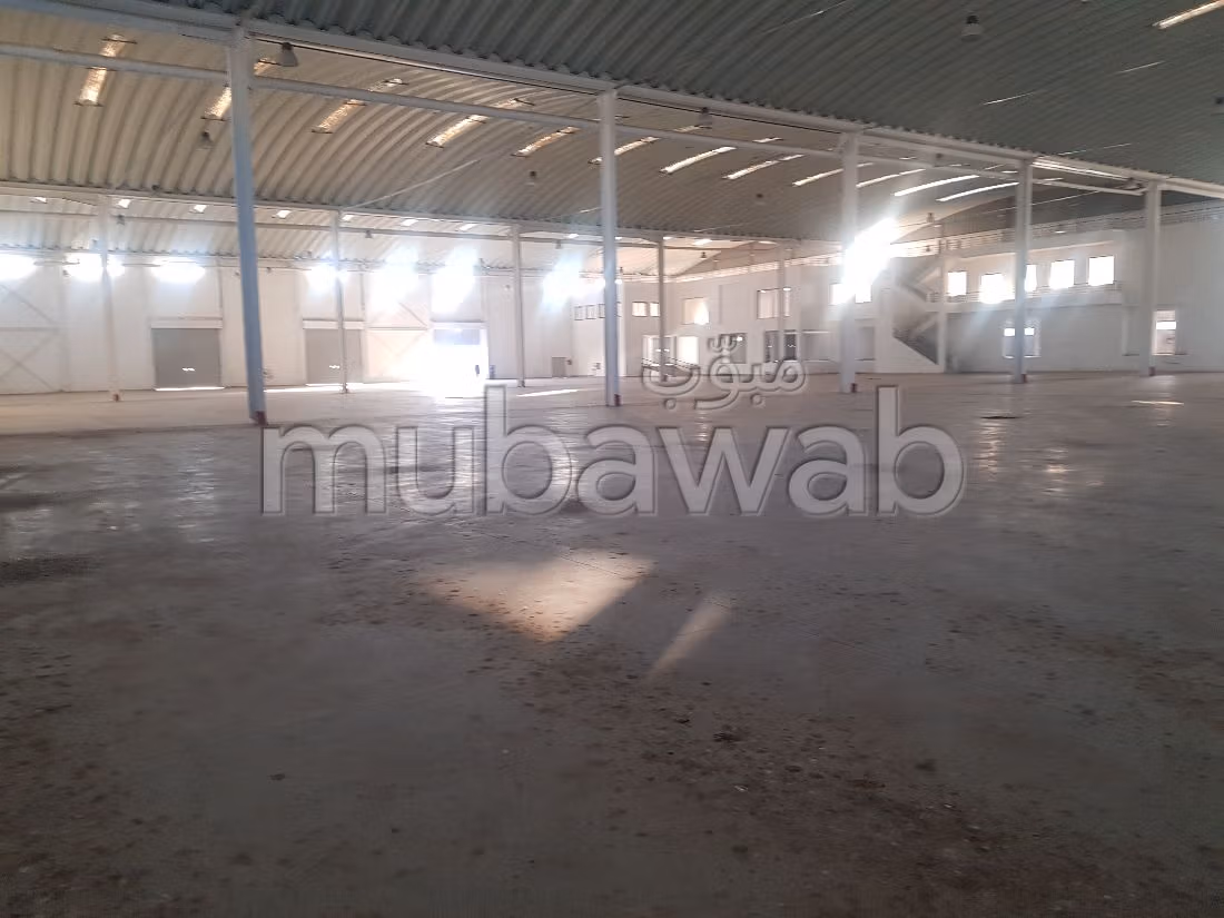 Offices & shops to rent. Area 8700 m². On site security