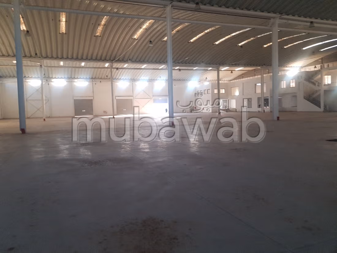 Offices & shops to rent. Area 8700 m². On site security