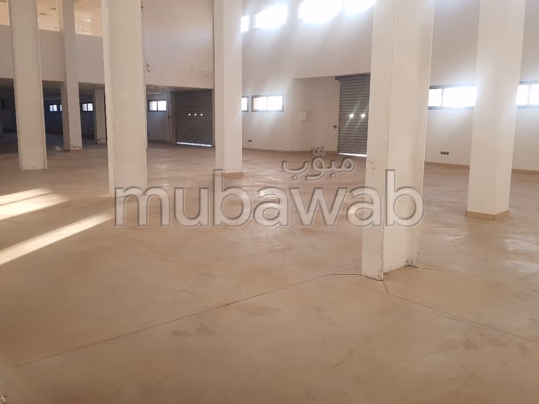 Offices & shops to rent. Area 8700 m². On site security