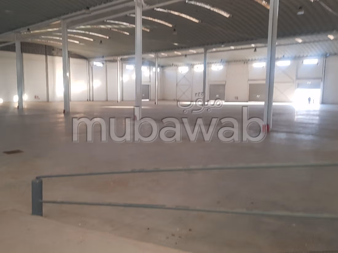 Offices & shops to rent. Area 8700 m². On site security
