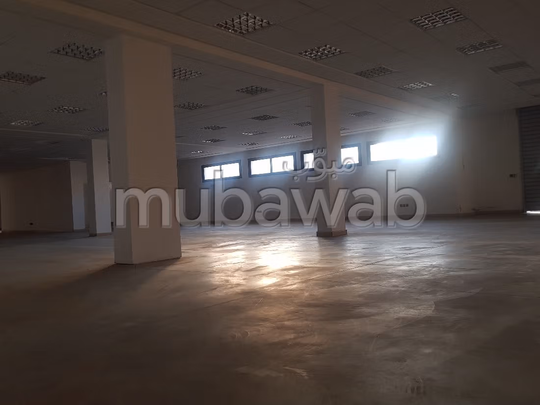 Offices & shops to rent. Area 8700 m². On site security