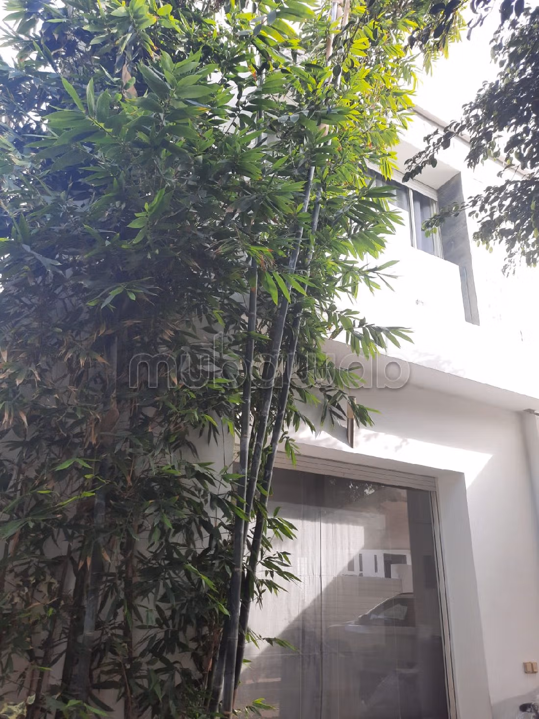 Se vende villa de lujo en Riyad. Área total 296 m². Piscina