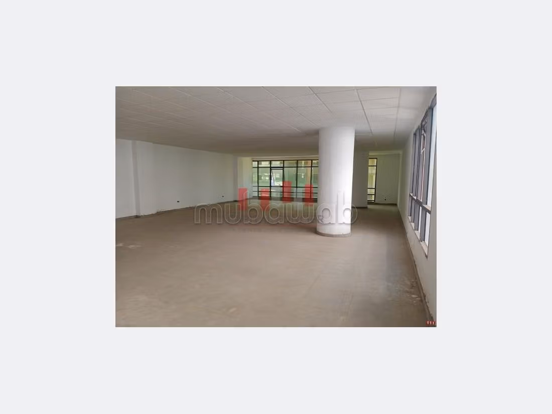 Offices for rent. Small area 156 m². 