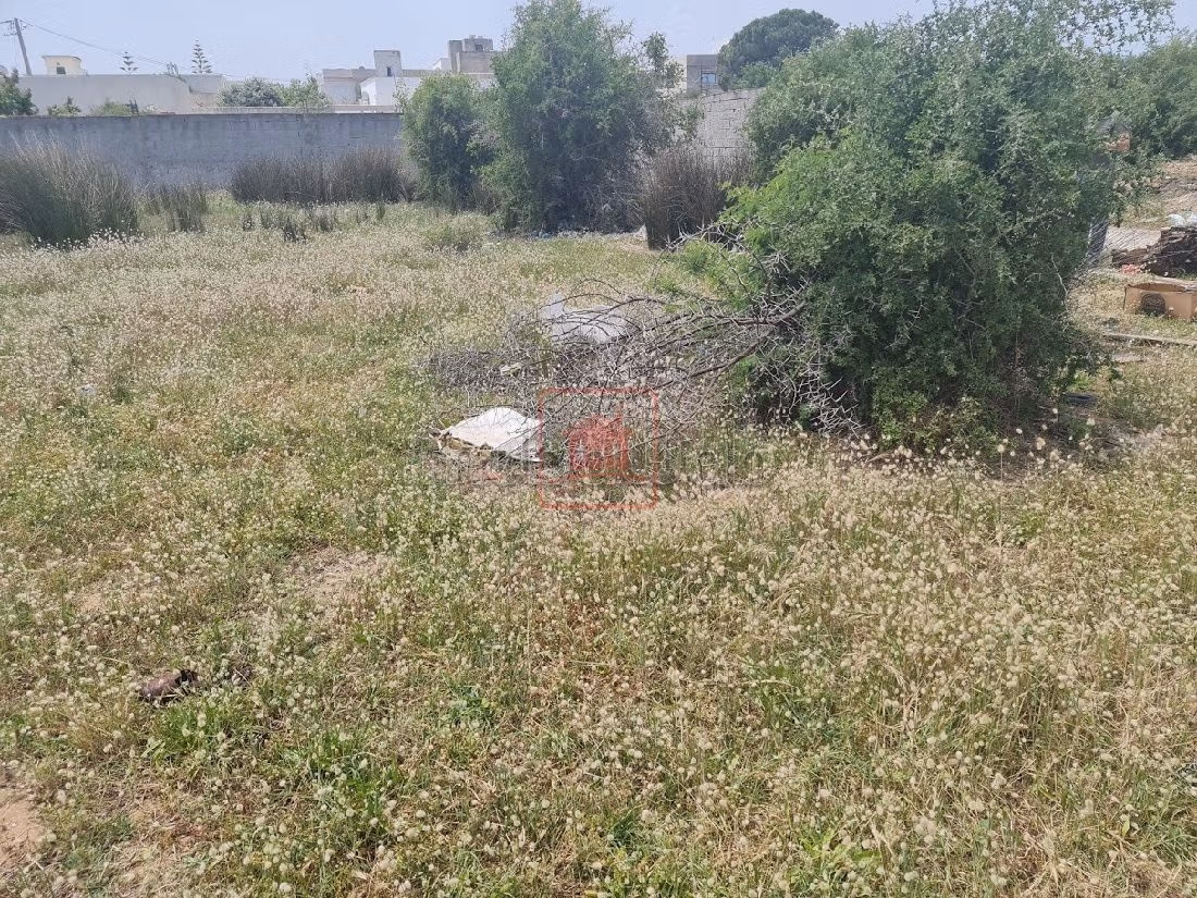 أرض جميلة للبيع ب سيدي صالح