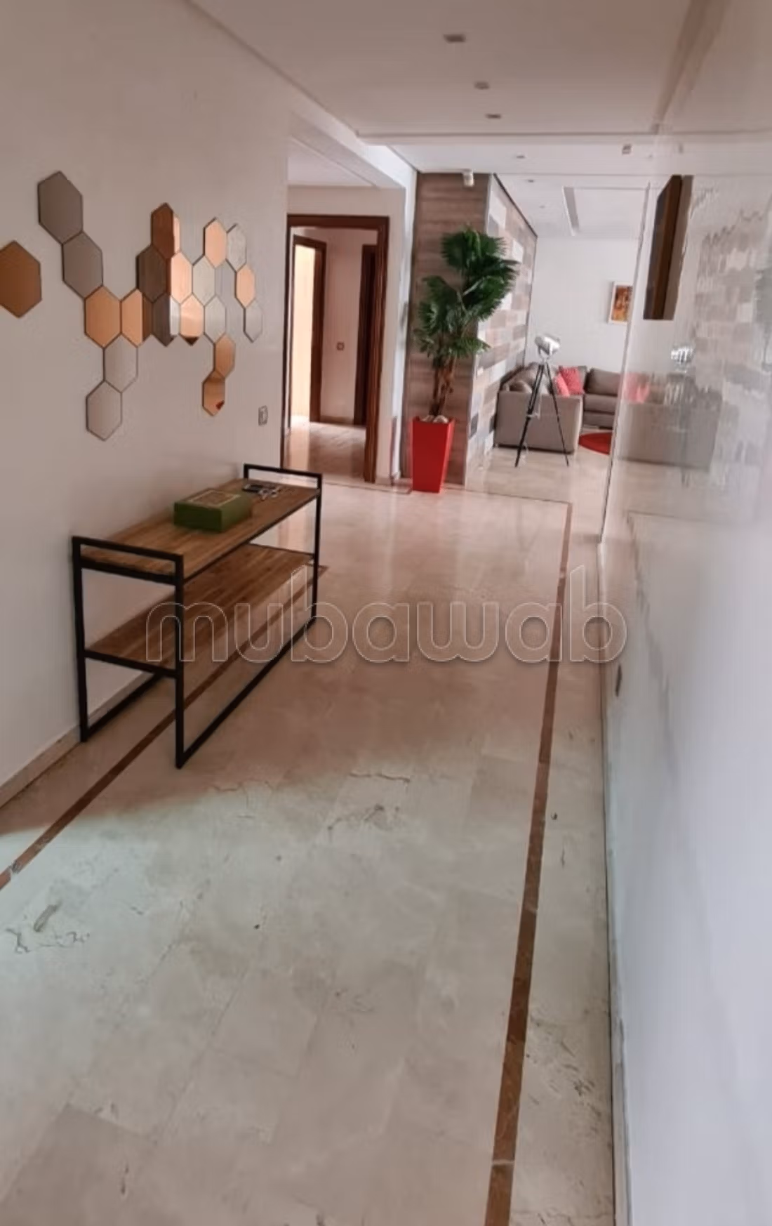 Très bel appartement palmier — 2