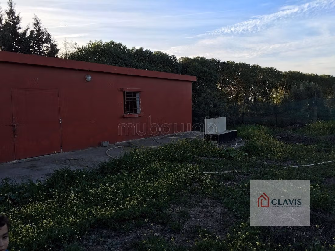 بيع مزرعة ب ليشين. المساحة 10350 م². 