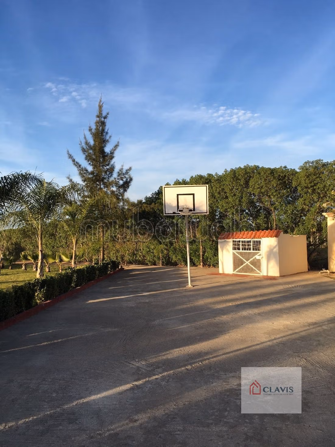 بيع مزرعة ب ليشين. المساحة 10350 م². 