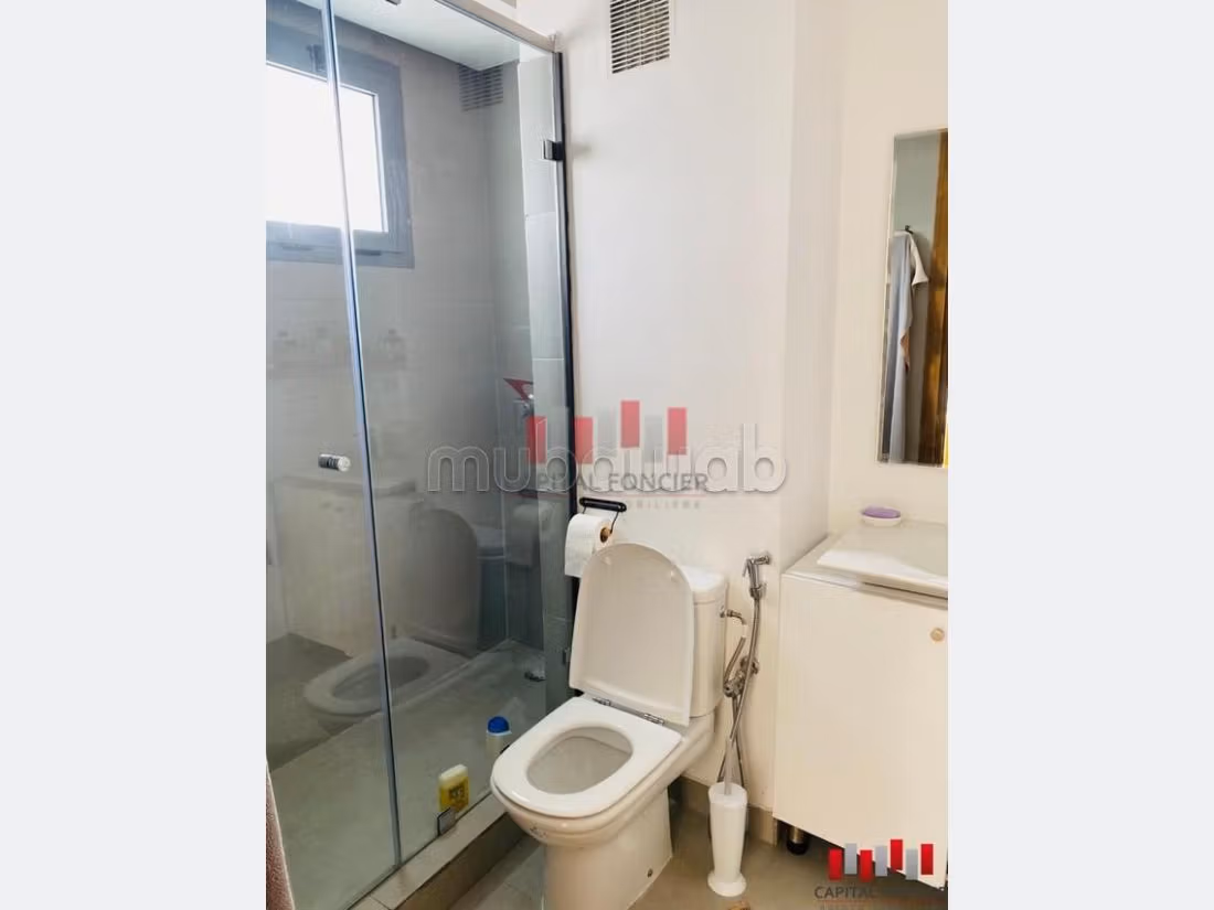 Terrasse dernier etage meuble