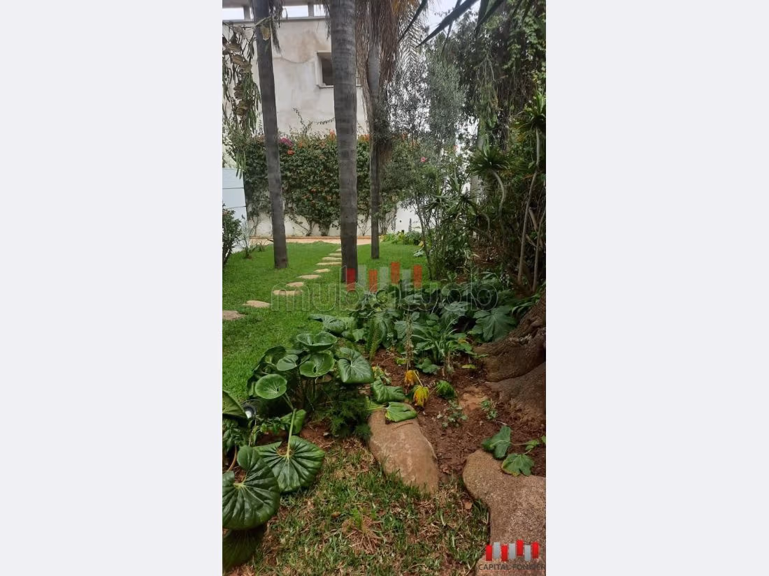 Ufficio disponibile in affitto a Anfa. Superficie di 550 m². Aria condizionata. 