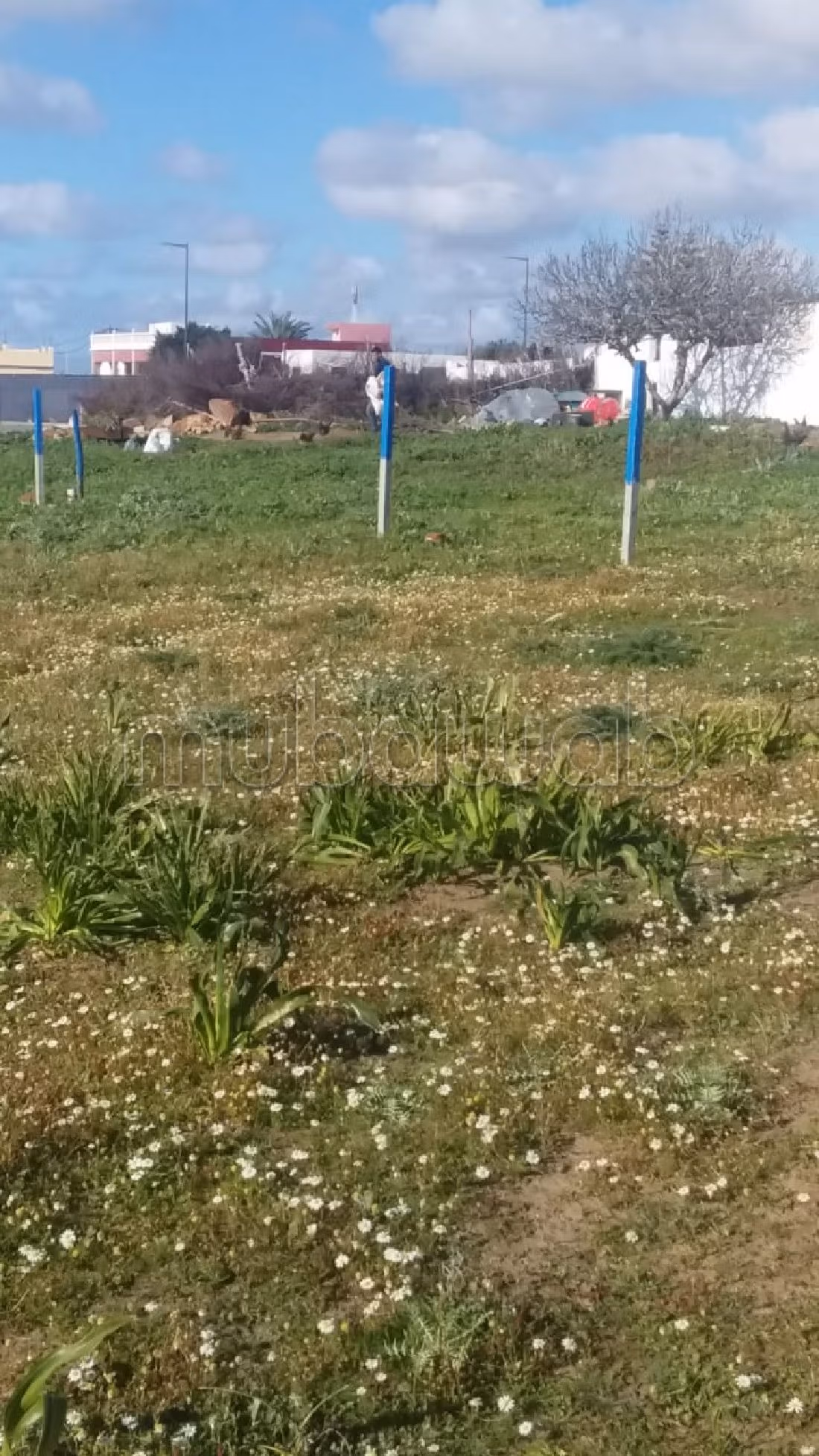 أرض ممتازة للبيع بهوارة . المساحة 283 م².