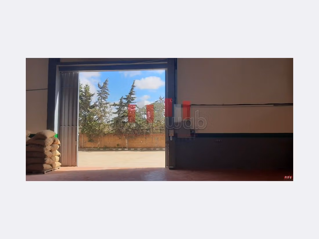 Oficinas y locales comerciales en alquiler. Superficie 2000 m². 