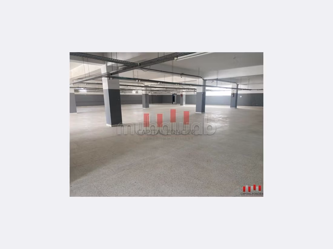 Commercieel vastgoed beschikbaar in Zone industrielle. Totale oppervlakte 5370 m². 