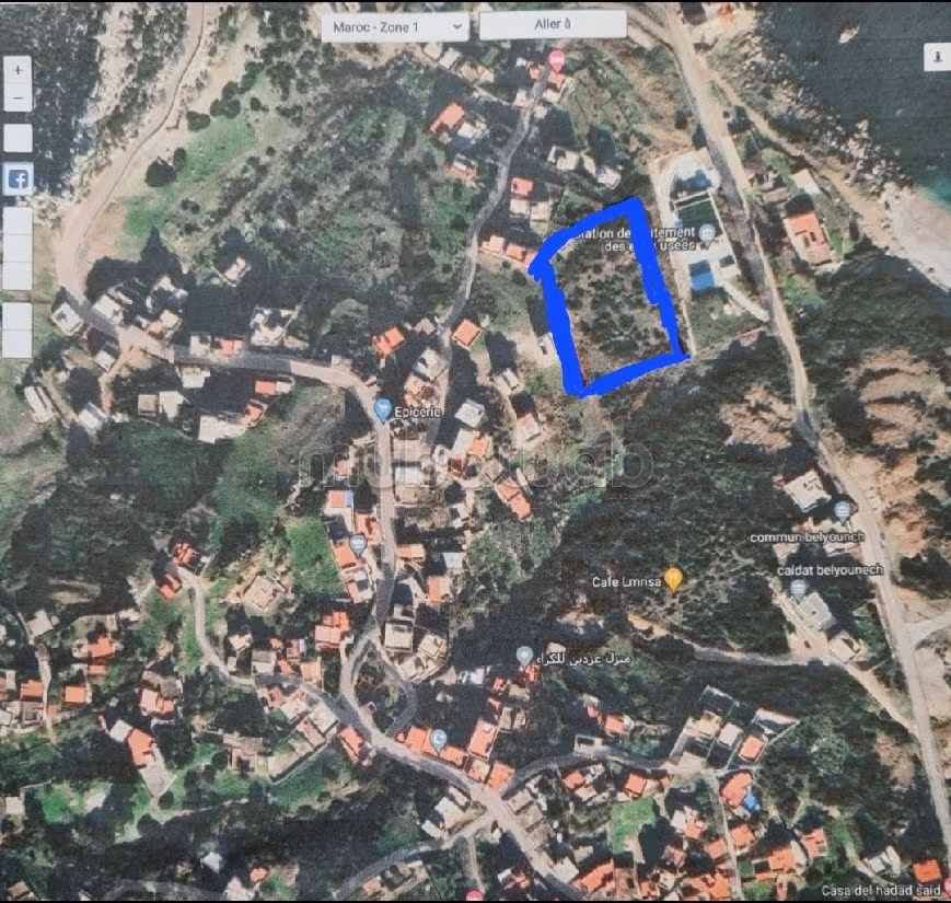 BELYOUNECH: terrain avec TITRE