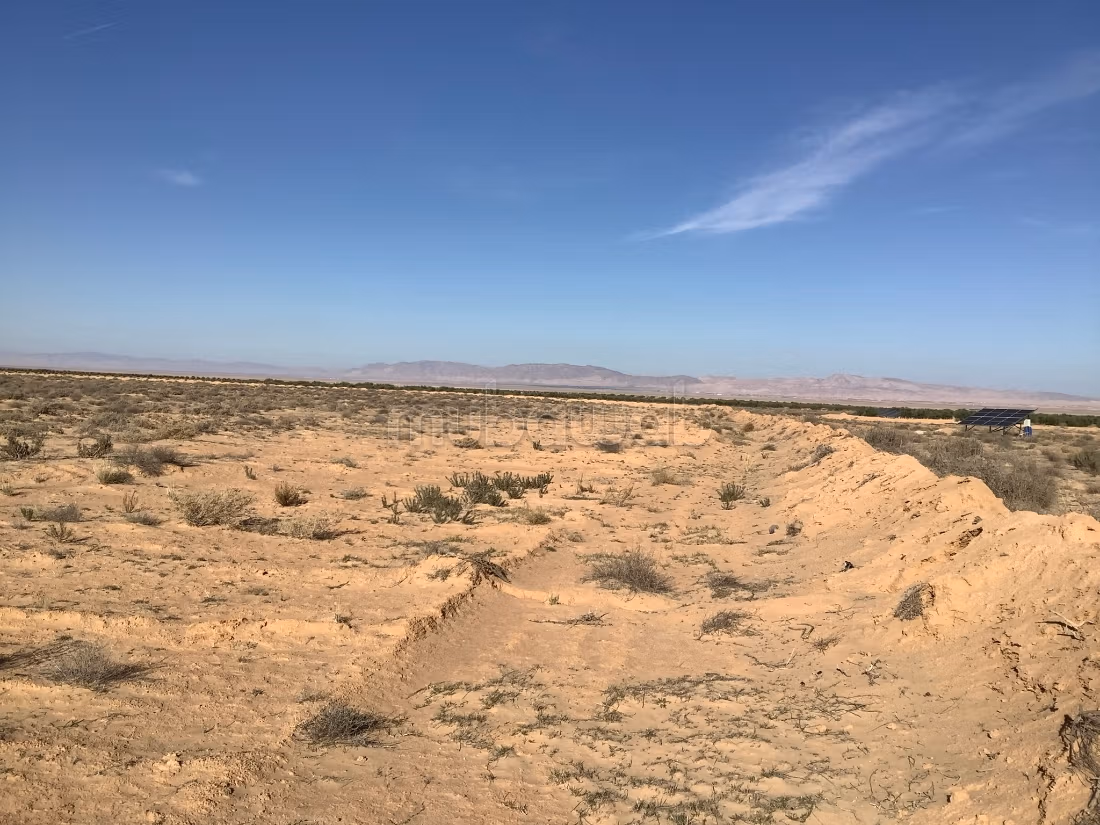 Terrain agricole