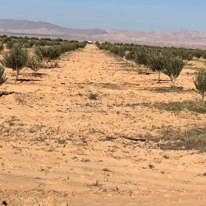Terrain agricole