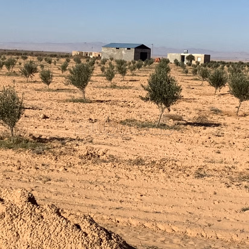 Terrain agricole