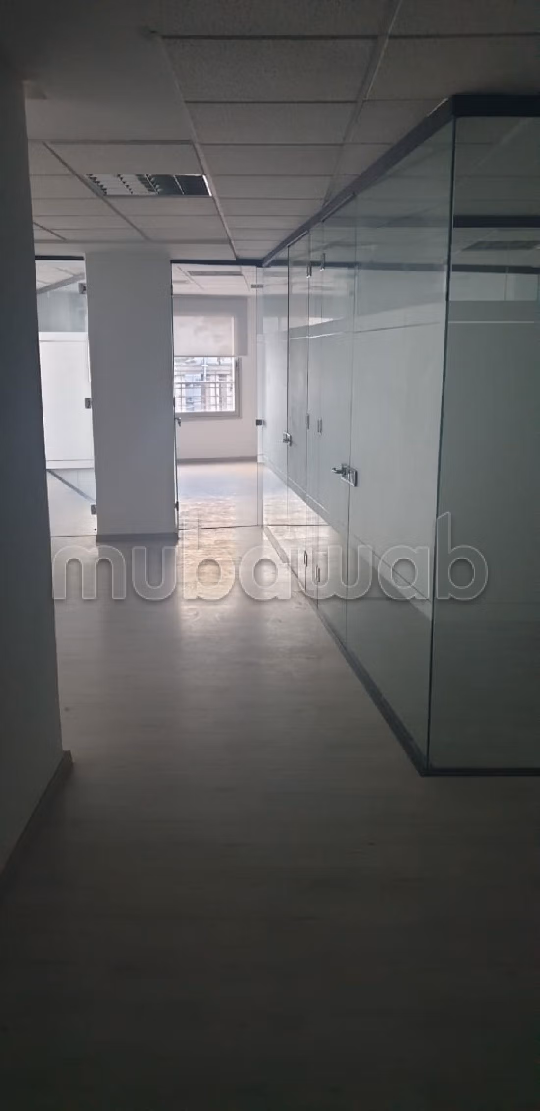 Plateau bureau lpb 662 de 127m à palmier