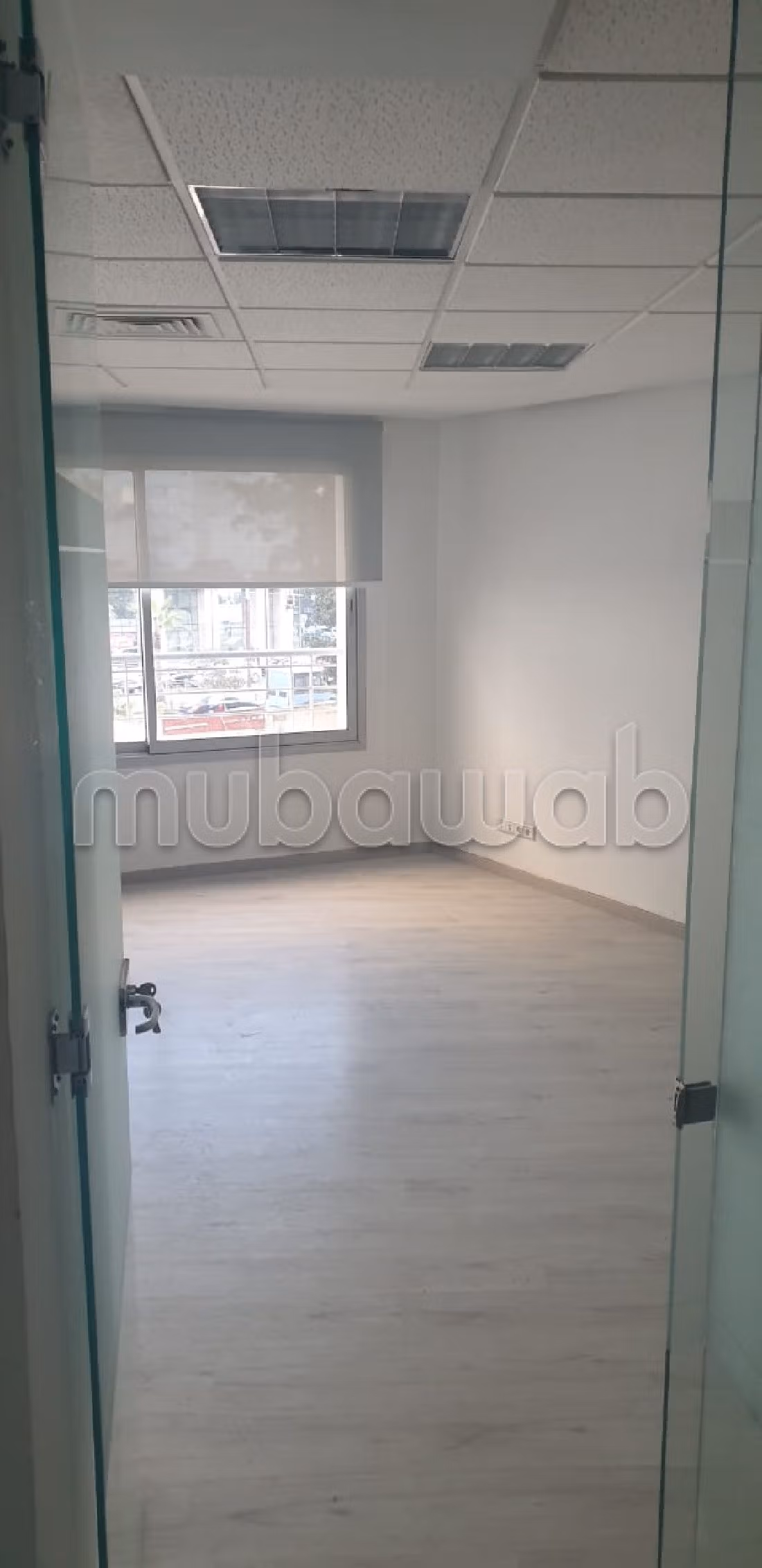 Plateau bureau lpb 662 de 127m à palmier