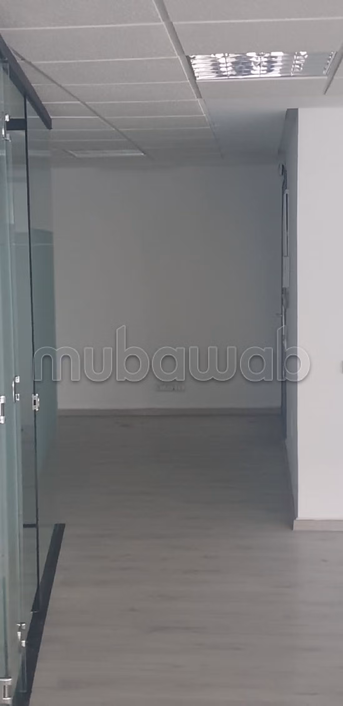 Plateau bureau lpb 662 de 127m à palmier