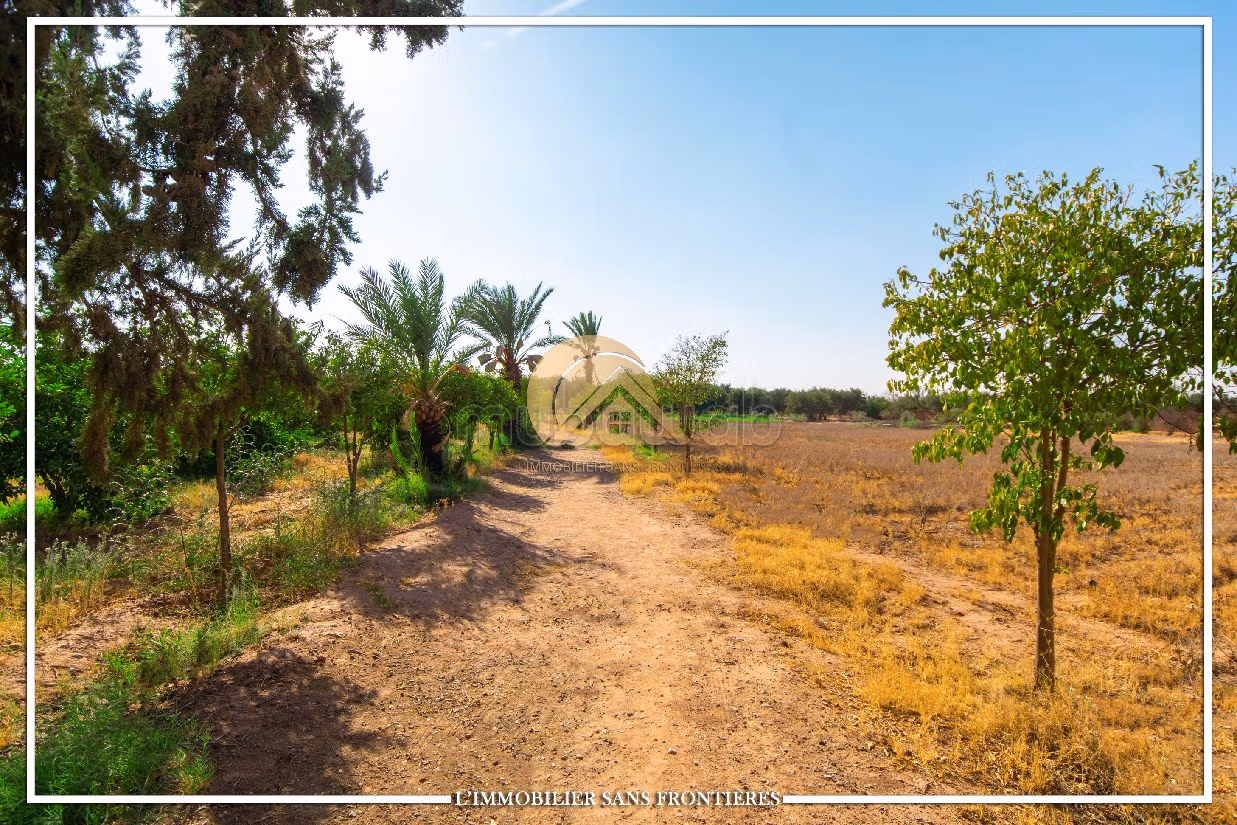 مزرعة ممتازة للبيع طريق فاس ب. المساحة 34609 م². 