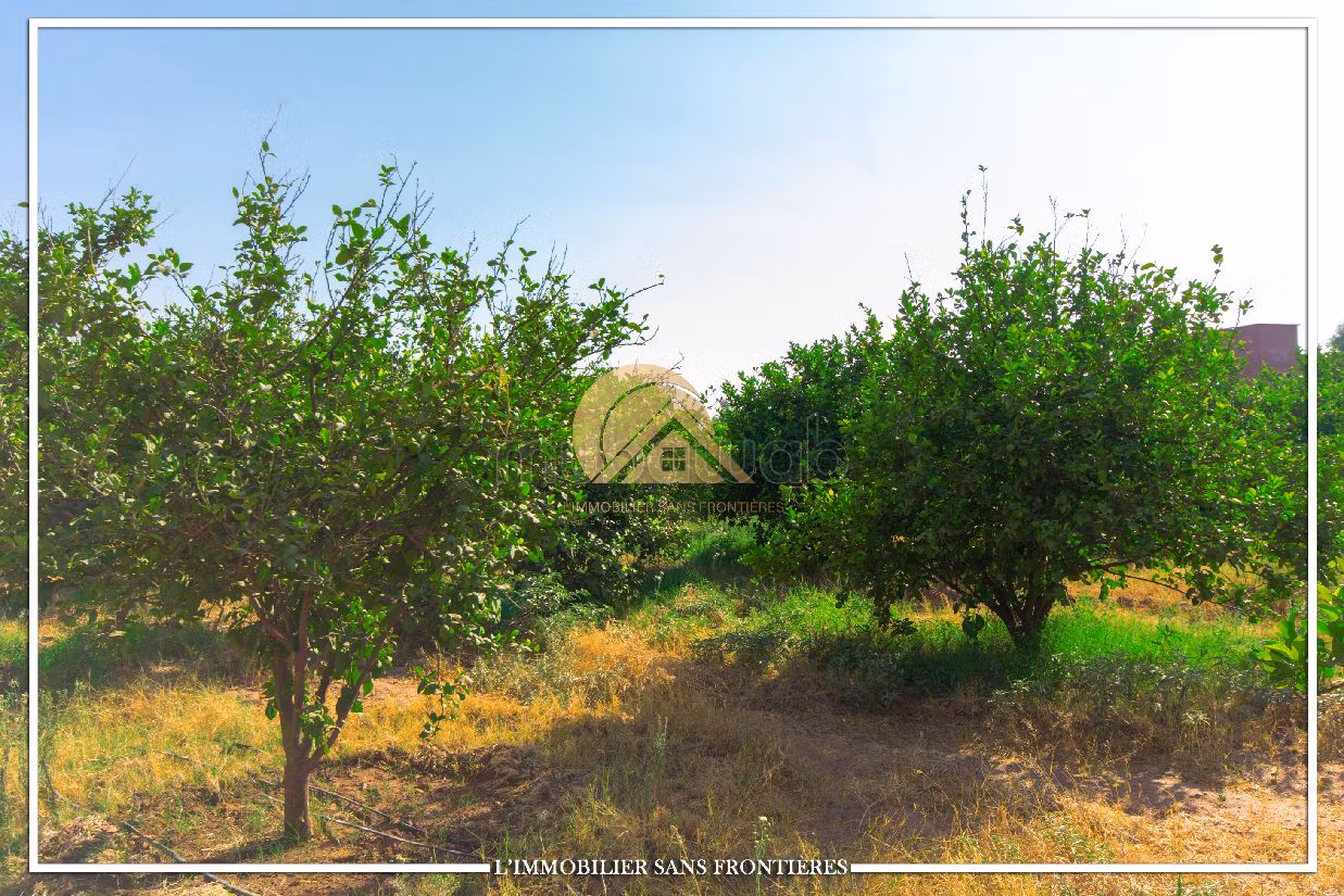 مزرعة ممتازة للبيع طريق فاس ب. المساحة 34609 م². 