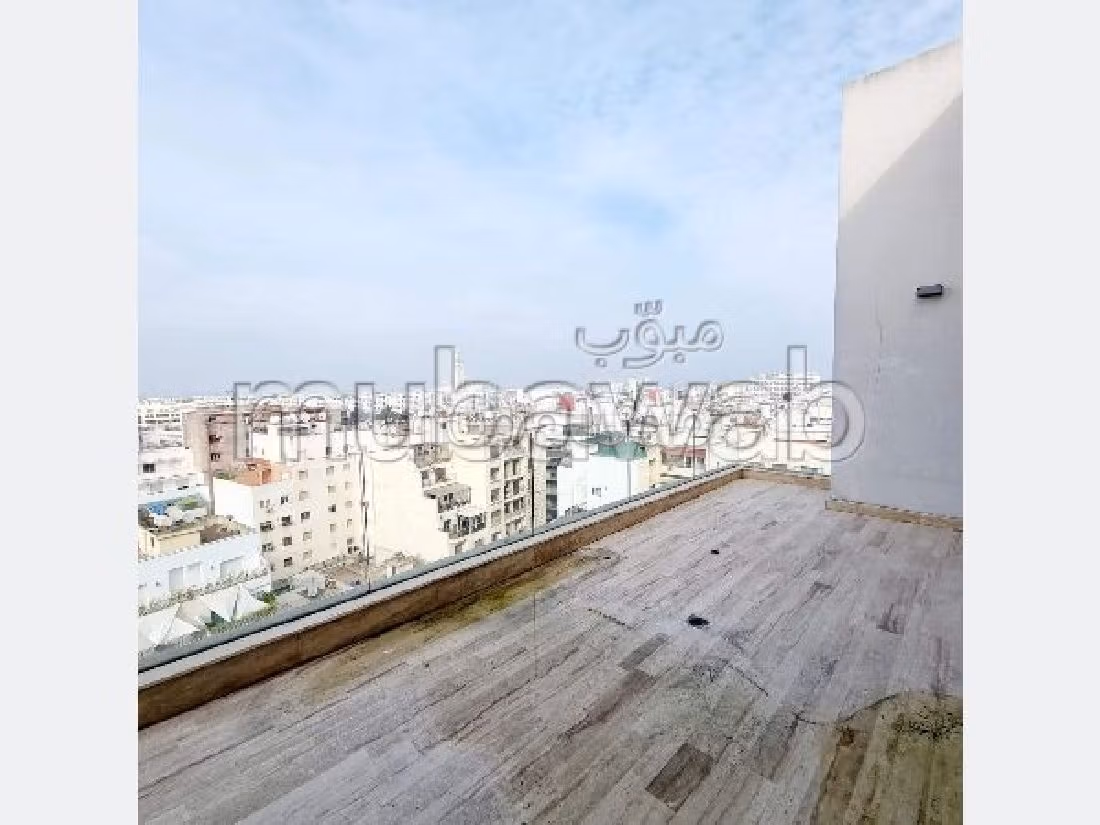 Location Appartement Moderne Quartier Racine