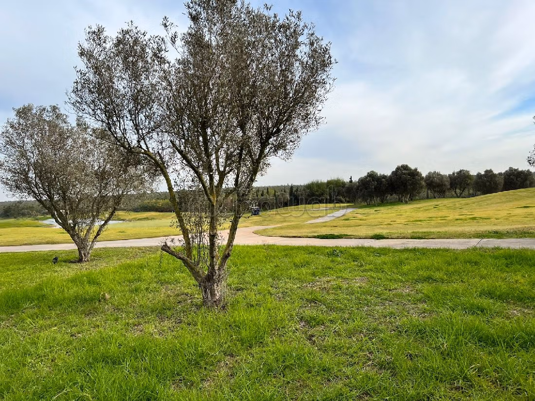 Villa's en luxe woningen om te huren. 7 Ruimtes. Garage en terras. 