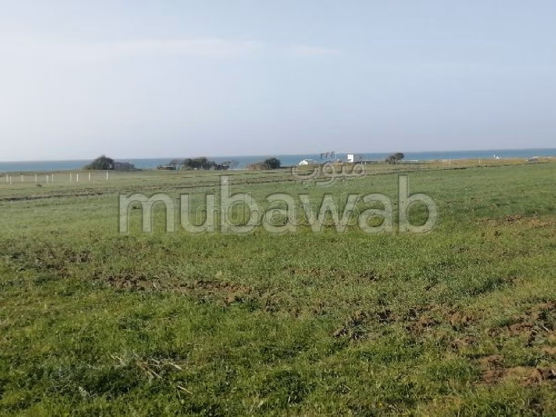 Vente terrain à Aquouass Briech. Surface totale 400 m².