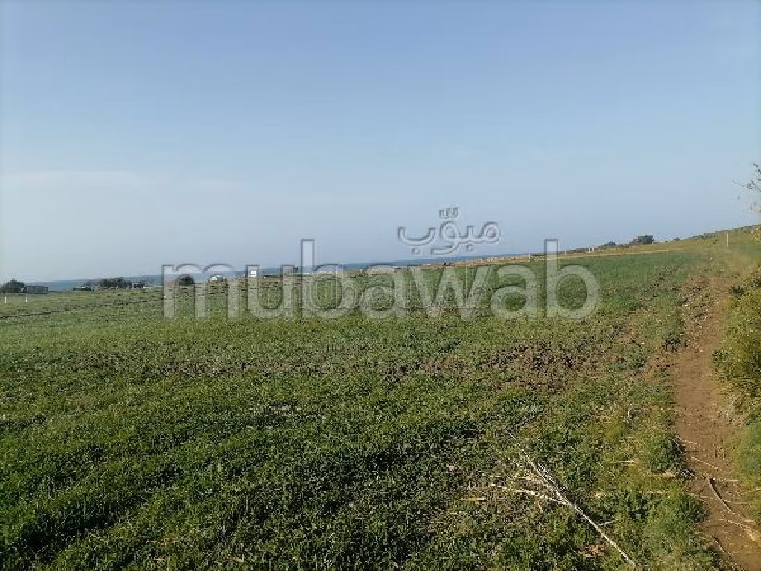 Vente terrain à Aquouass Briech. Surface totale 400 m².