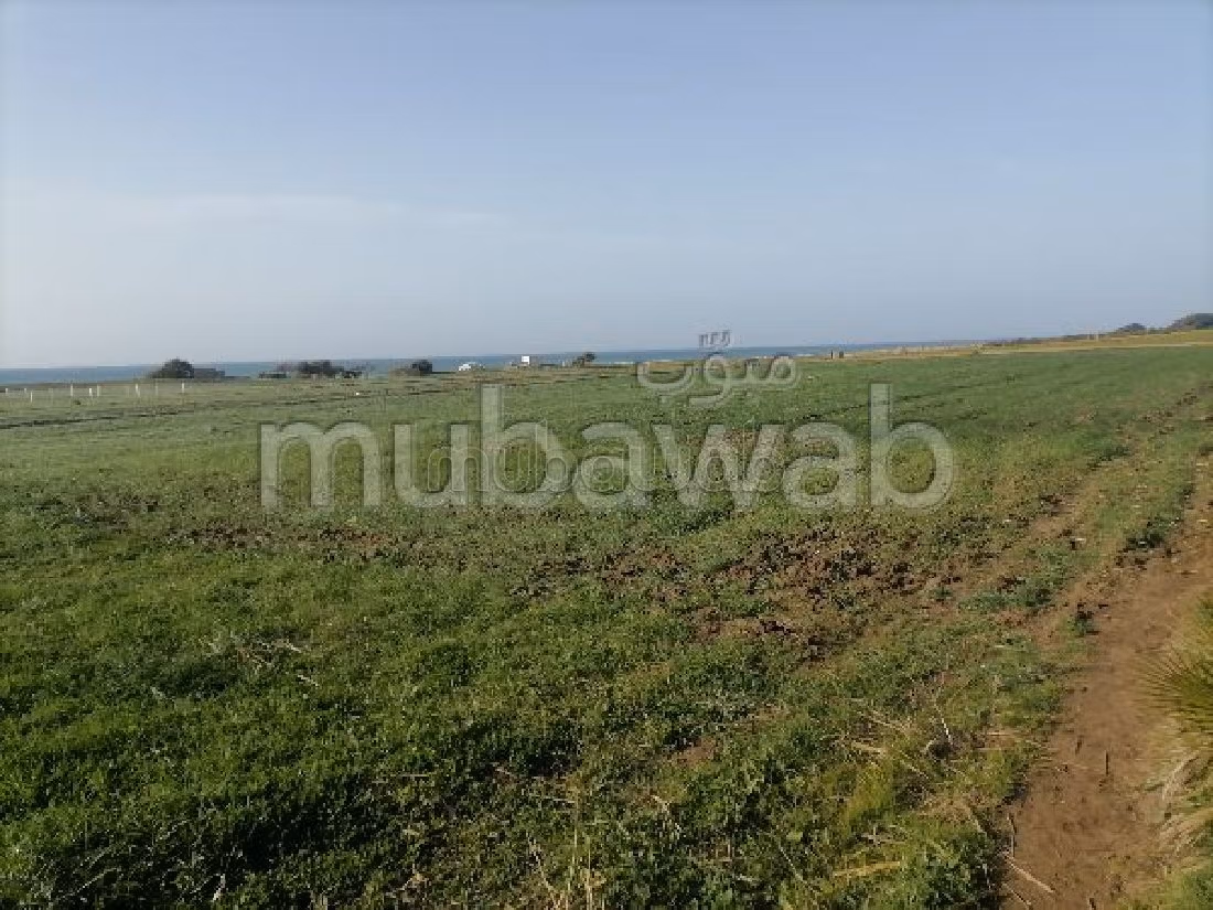 Vente terrain à Aquouass Briech. Surface totale 400 m².