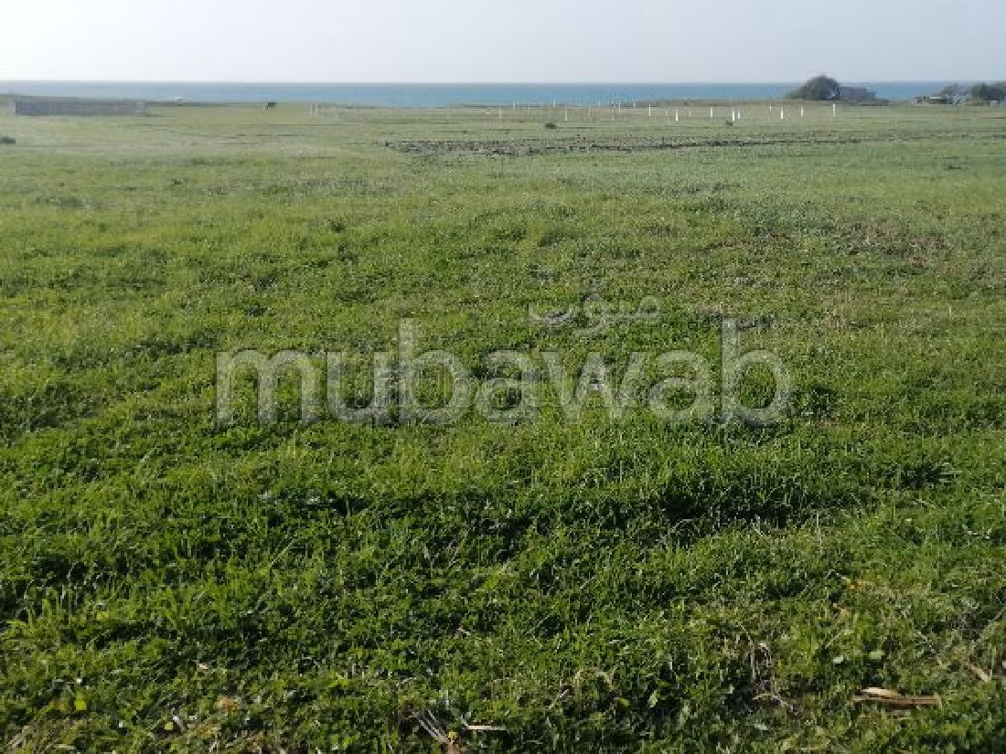 Vente terrain à Aquouass Briech. Surface totale 400 m².