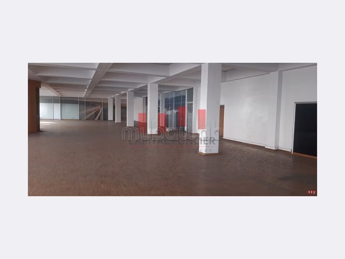 Oficinas y locales comerciales en alquiler. Área total 900 m². 