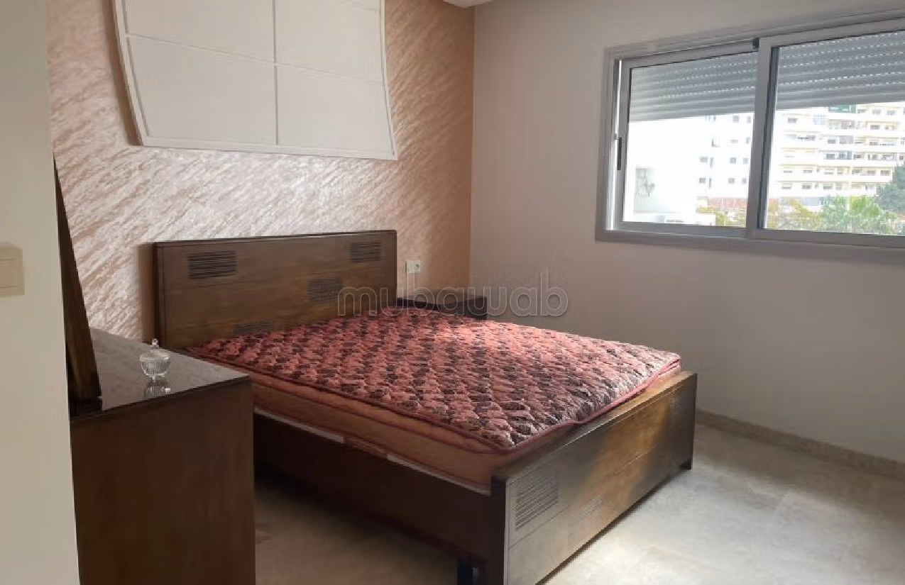 Affitto di uno splendido appartamento a Centre. 4 ampi locali. Ammobiliato