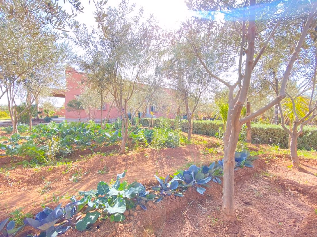 High quality house for sale in Route de Fez. 6 large living areas. Swimming pool and fireplace. 